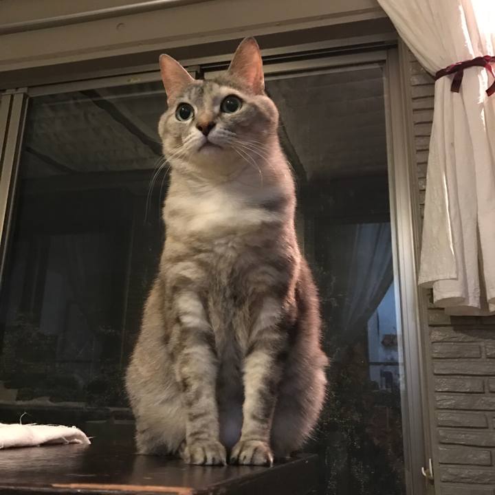 D6de4941 306b 4ca2 828d 66bd4719f714