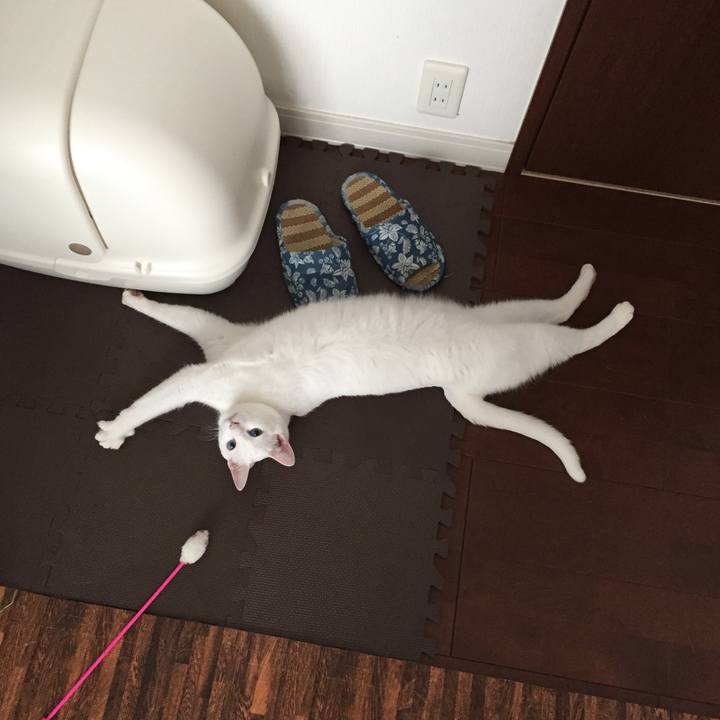 D6de8047 d8a7 4096 8d0b 72bc21a9b2bb