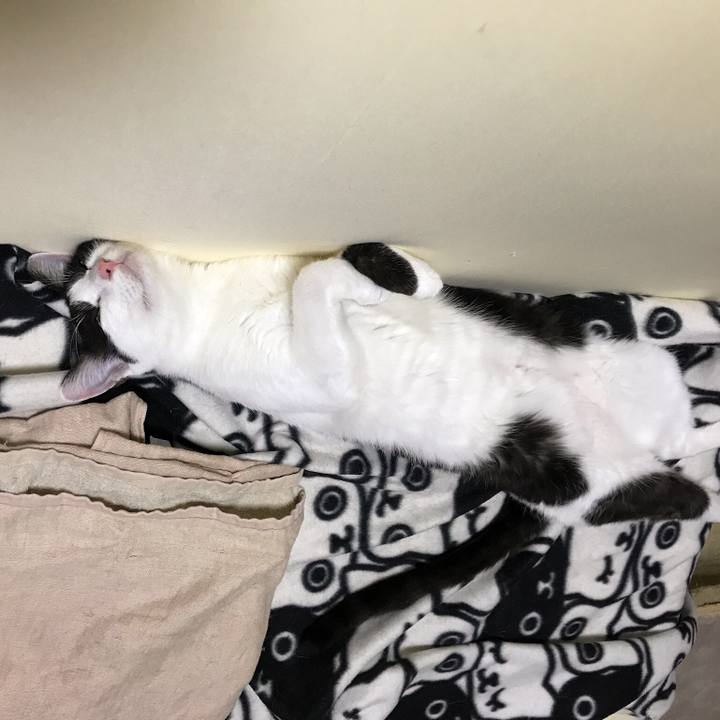 D6ded936 2872 43bb b38f 393e7e61395c