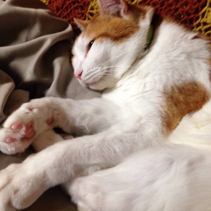 D6def788 d74f 4cb8 aa08 88e9f5ba77b2