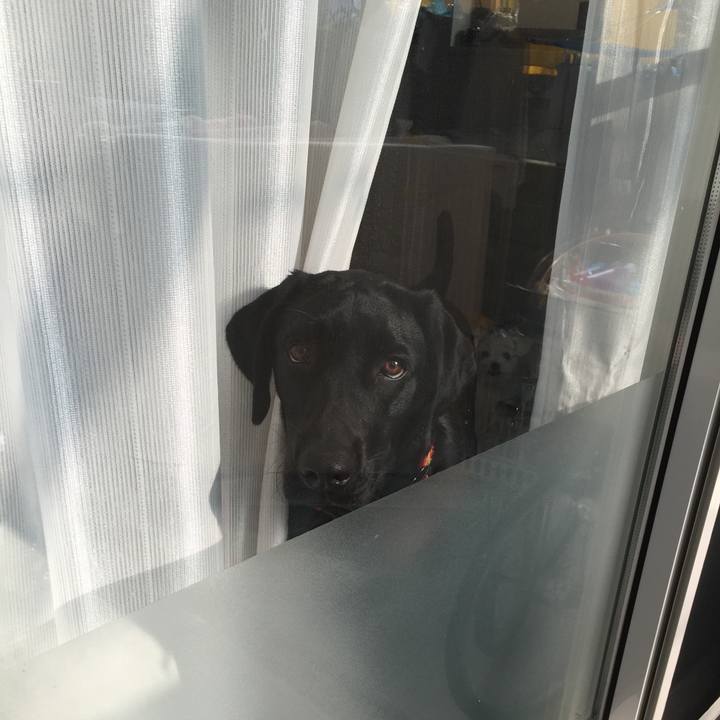 D6df3a1e abf6 4acd 9925 1fce099b1360