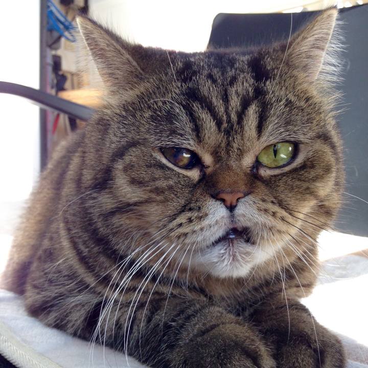 D6df7dd5 663f 44f5 ba9f 98da7fa9eeb8