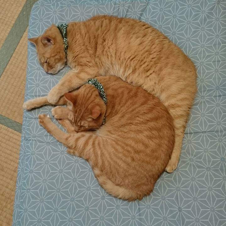 D6dfa713 6fd1 44cd 8af1 2a2ca448f2ac