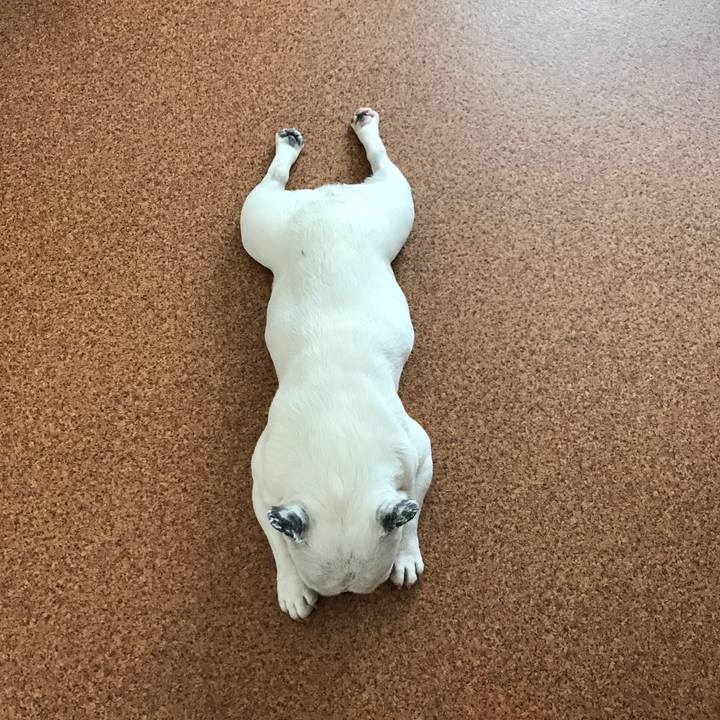 D6dfe5a7 abf2 4310 afeb 2a53c8ac51e8