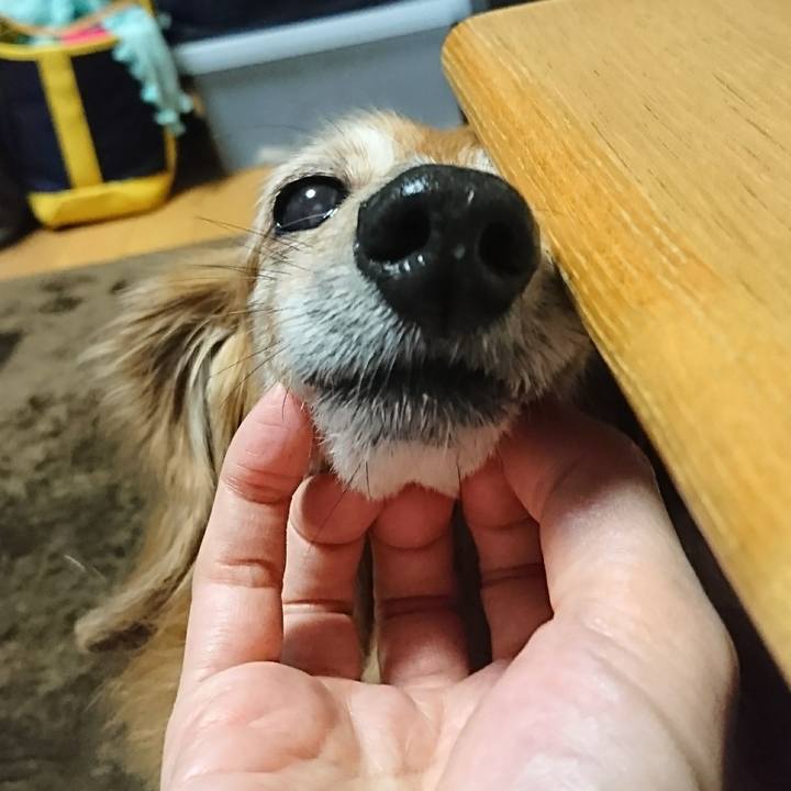 D6e0775d 2348 4cc9 9d99 c37dd3acde58