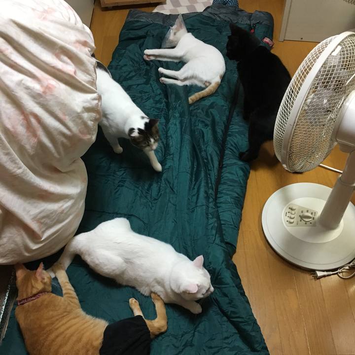 D6e0799b 83d2 432f b9d2 e52d9cf4f853