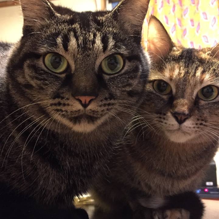 D6e0984d c3f5 41c5 971c 4aefc9284b9b