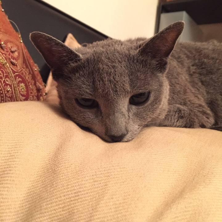 D6e0db55 e622 4698 ab49 d9bf211e3179