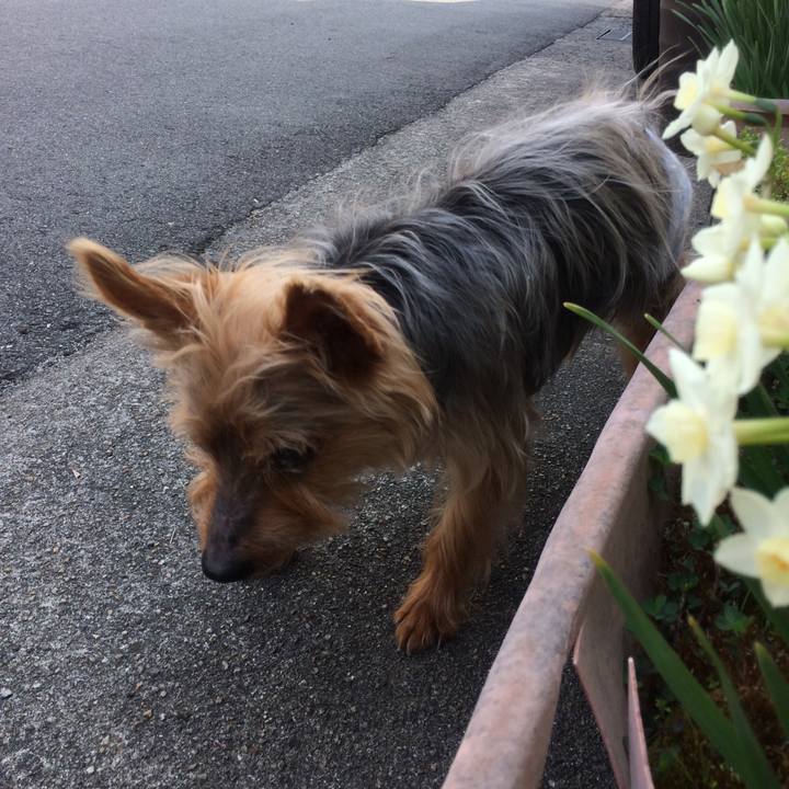 D6e0eaa9 78ea 450c 82fd 522492642828