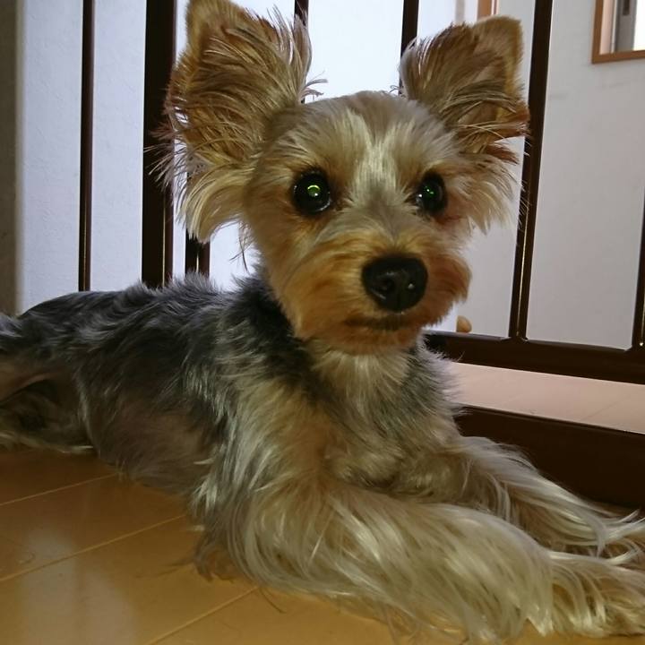 D6e12c0b eecd 4886 b602 ee0c8ead5b00