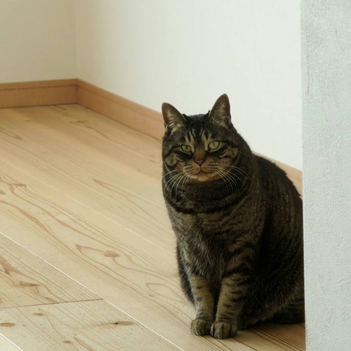 D6e1822c 14a8 471f 820b da3732b59e6b