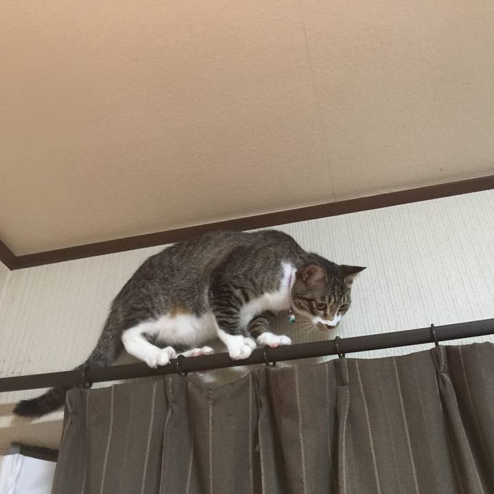 D6e18fbd b8f7 451e aee4 af2e5662ed09