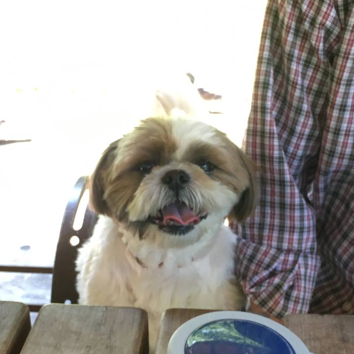 D6e2307c 2416 4a37 9eea bab65ad93a3e