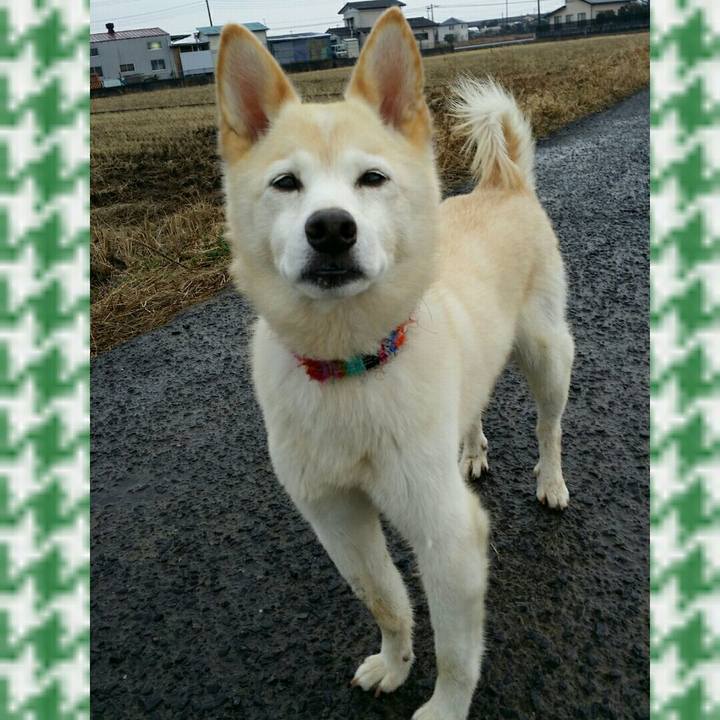 D6e236df 1e63 4f89 8dce 117e2ba9653c