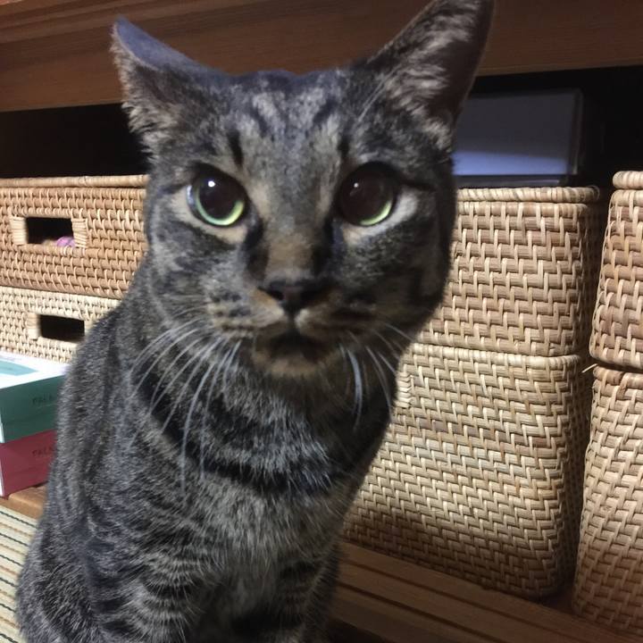 D6e279e6 df21 48e6 84e1 02cac3b40fc3