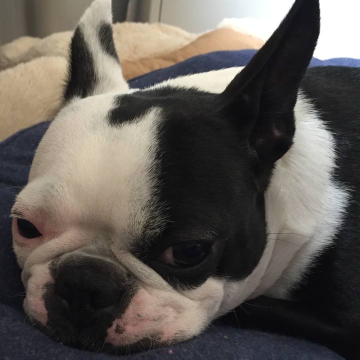 D6e2a3c0 8a30 4109 8086 66b5d154f86a