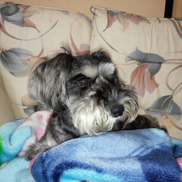 D6e2d56e 0a21 4f24 af4c 96f28e136b70