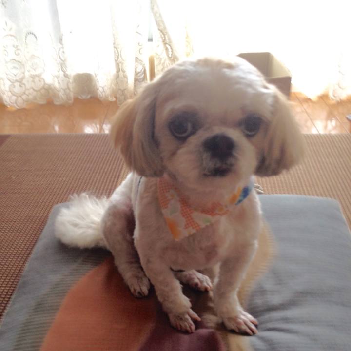 D6e393e8 1ff6 4e8b 99df 6e3ccb68b687