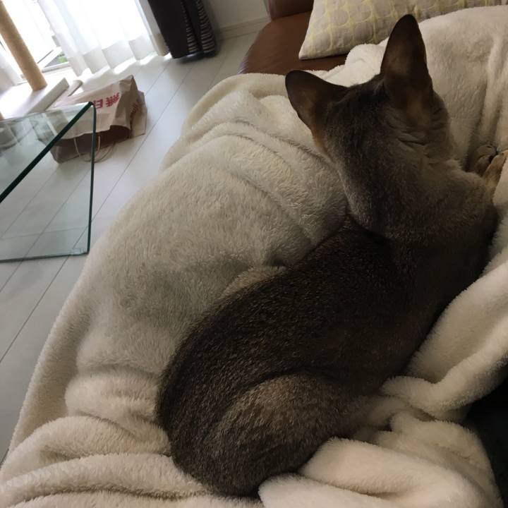 D6e3ba22 fdc3 41cd a718 d8dcee042cf2