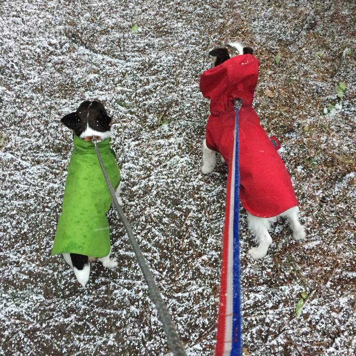 D6e42cd5 386d 439d aa19 bc71d33b554f