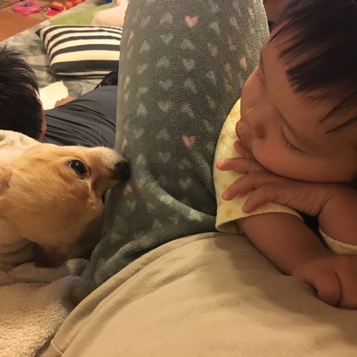 D6e50b5e 2257 4204 9509 8a785800dc67