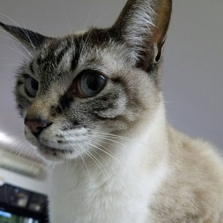 D6e6e808 3d81 421a a88d 0157d53f1b0c