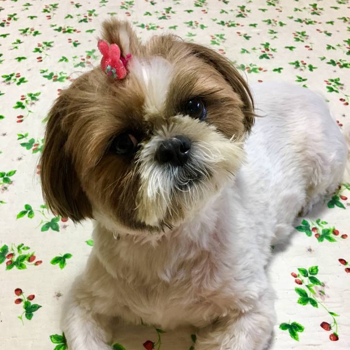 D6e7baff 475d 44ae 80b4 6c3e5907016c