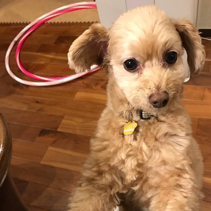 D6e7ef67 1536 4a91 9225 e634fe34f513