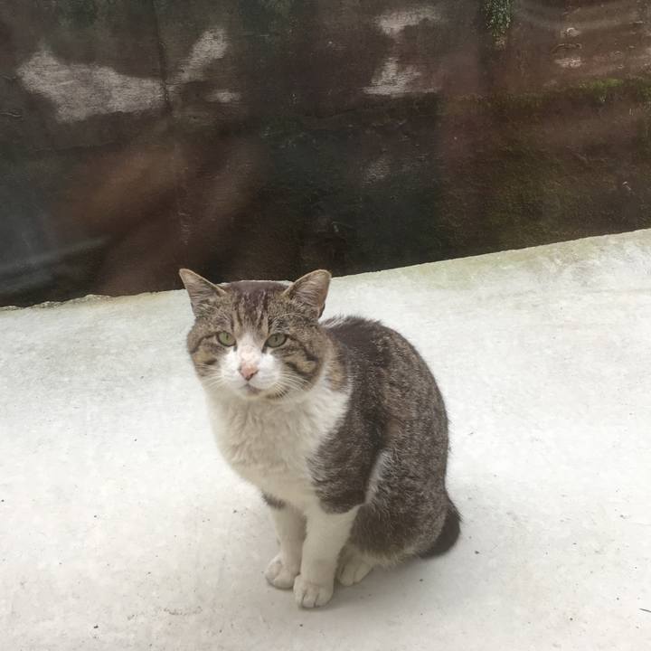 D6e7f754 d13a 4103 9a7a 5a2e38b7aa53