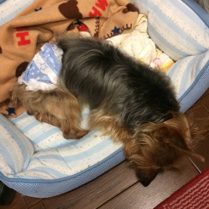 D6e818b7 791f 4146 8ccb 34974fc79702