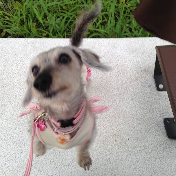 D6e8f4f3 b934 47db adbd b5a7658be91d