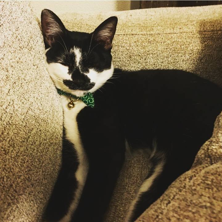 D6e974df f9a7 450a b804 bcb492283db0