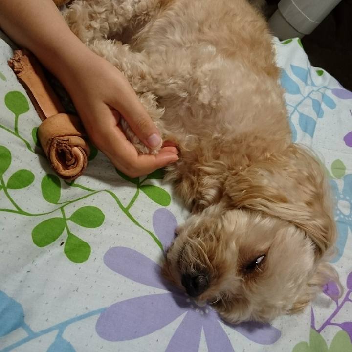 D6ead57d bf63 404c 9c6c 5368f0be313f