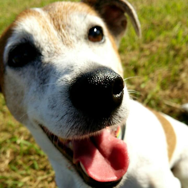 D6eb1a8c 7b44 4a62 897f 52714714ef49