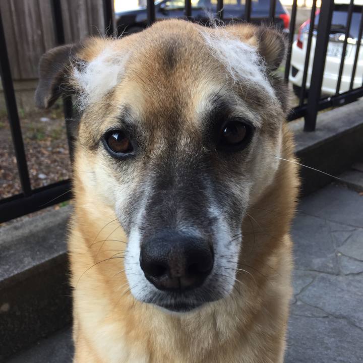 D6eb5b8b a399 40ea 95f0 40c03f98a790