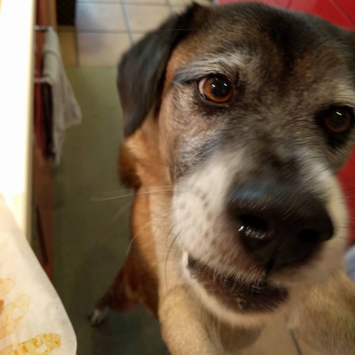 D6ec4e46 c266 4056 a5b1 ddd54d7e2f9f