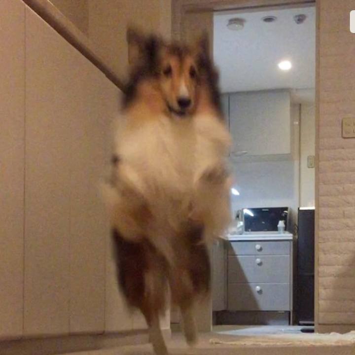 D6ec7bbb ecb0 4289 bf97 7d9d30883679