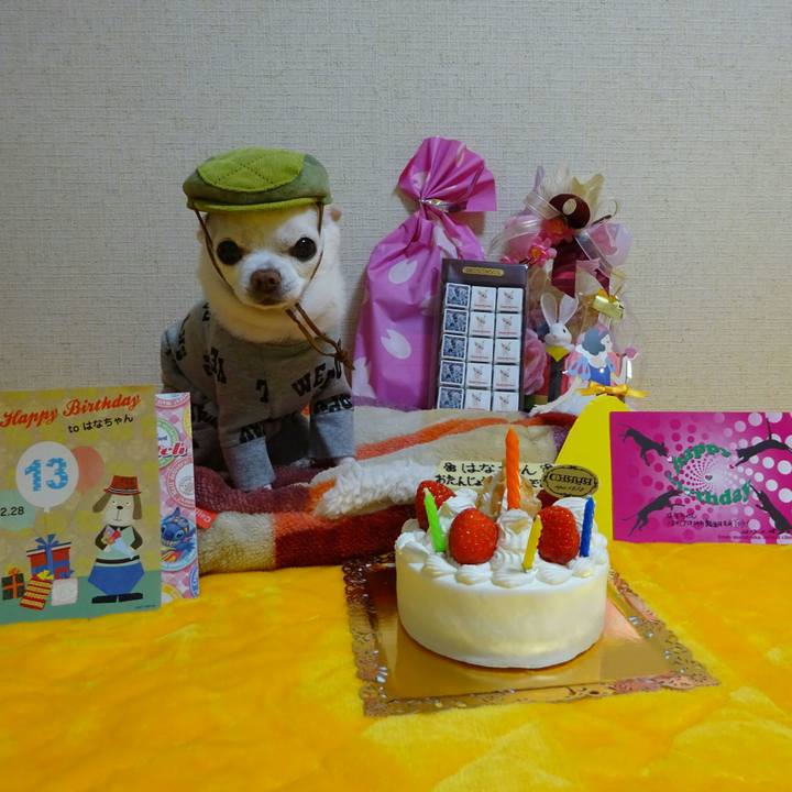 D6ec959b 6af6 4c4e b05b 2ce273b494ea