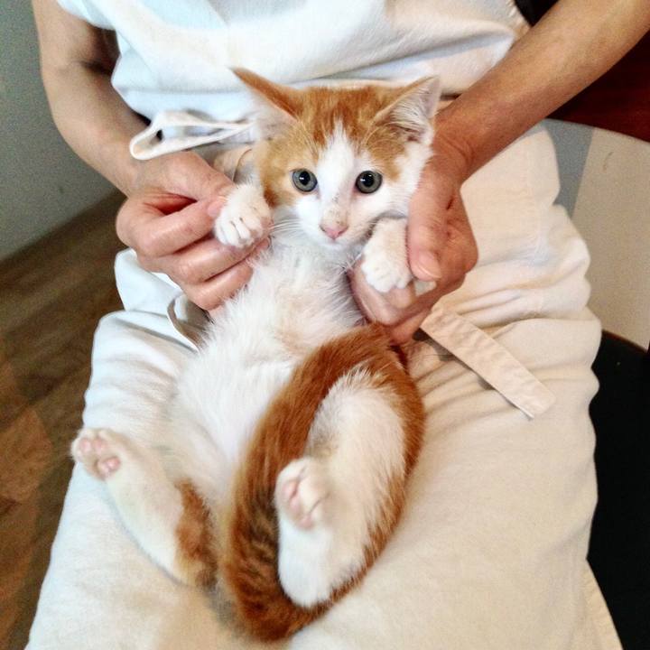 D6ecc3fc 2b24 4034 a74d 981767f2296e