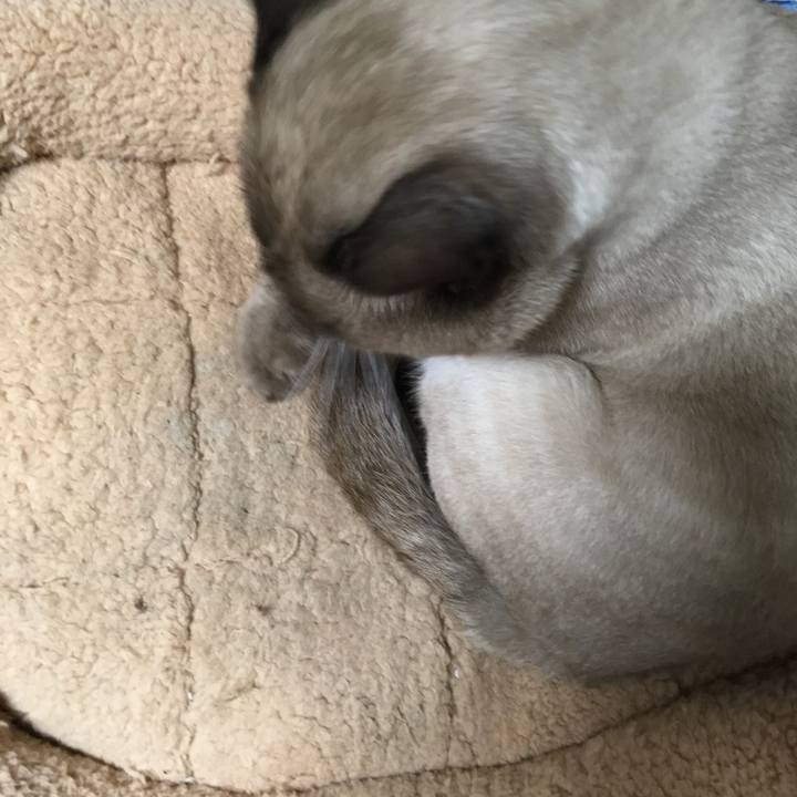 D6ecc42a db7d 4f55 93c1 7893cd713c30