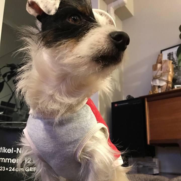 D6eccaa1 bc75 4309 8f8e 1b6de4b71226