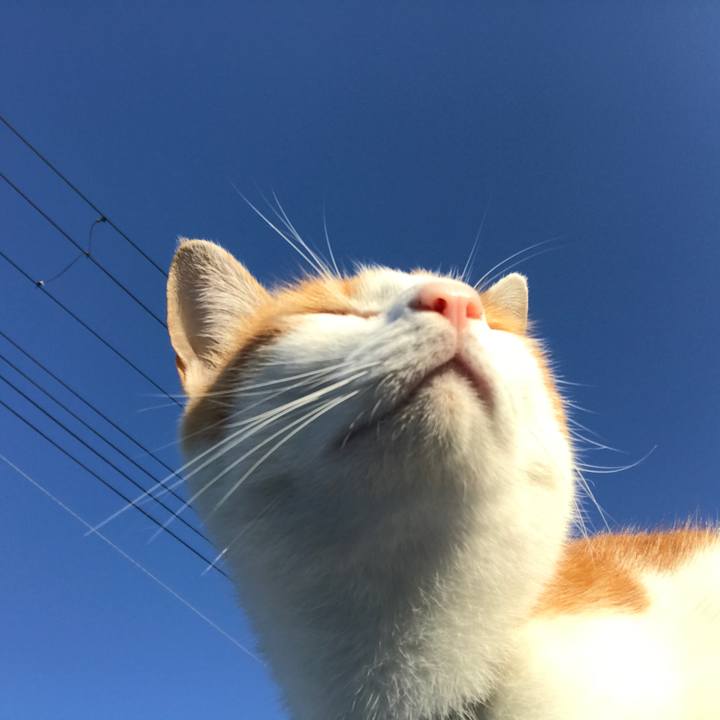 D6ecdb56 13ac 4d38 8551 3393eb264ee7