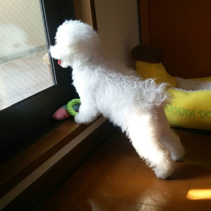 D6ece0da 5bbe 41a7 ad1b 152e1f326469