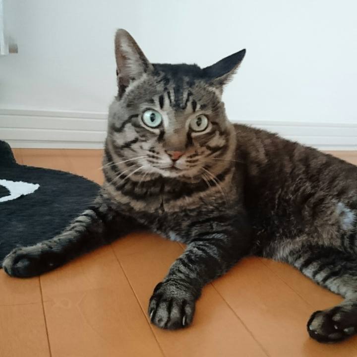 D6ed1b89 2533 4f59 84a5 786461785091