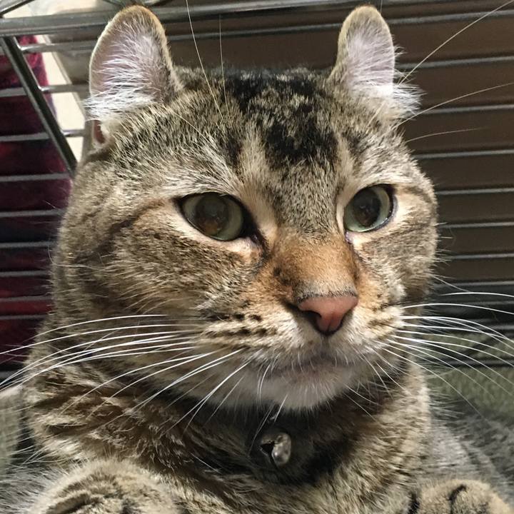 D6ed66d4 494c 4ca7 85e6 a59586661f4a