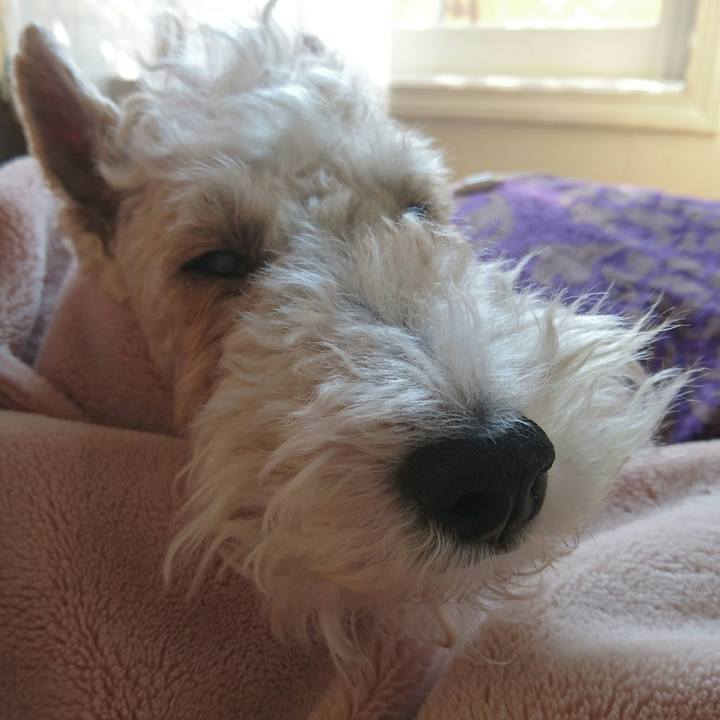 D6ed8475 196d 4e72 bde2 e28fc71ee492