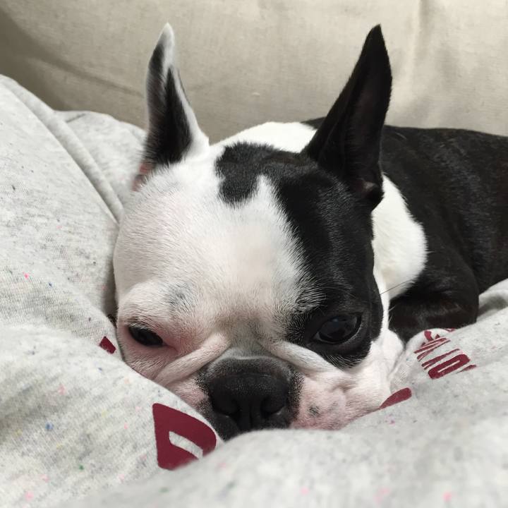 D6ee21bb 2115 45ff b9b6 80910a2ef3e2