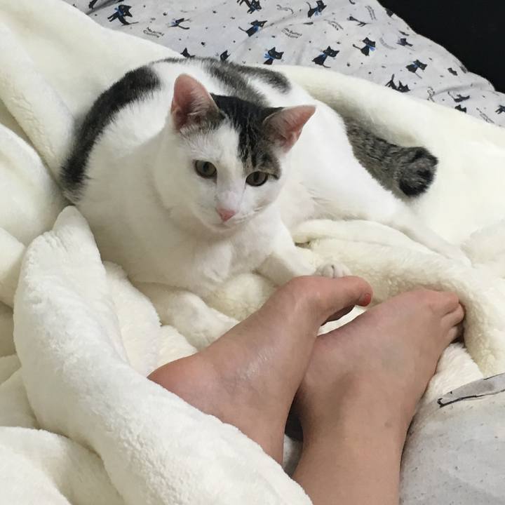 D6ee660a e2c4 442e 8272 4953a819296b