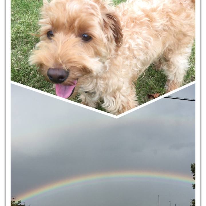 D6ee6809 fe51 4959 9a36 4f04fa616dd0