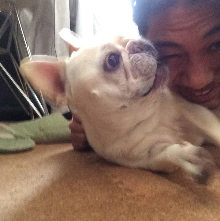 D6ee7a95 1b65 448e 9e44 33b156e12883